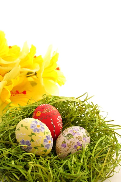 Easter egg on green grass background — Stock Photo, Image