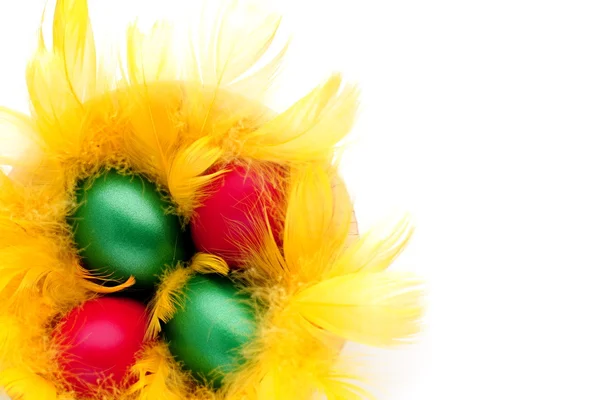Œufs de Pâques dans le nid jaune — Photo