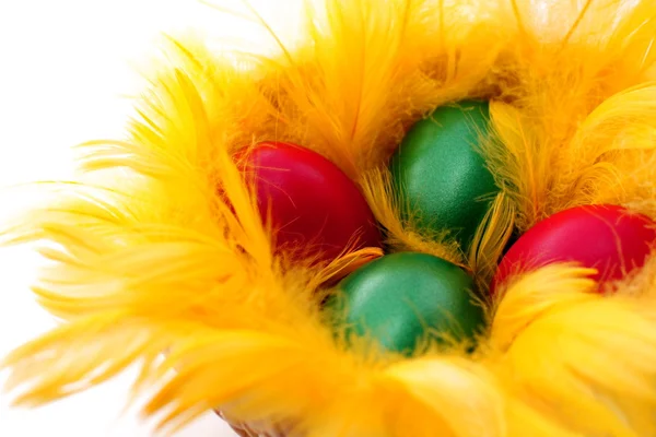 Пасхальные яйца в желтом гнезде — стоковое фото