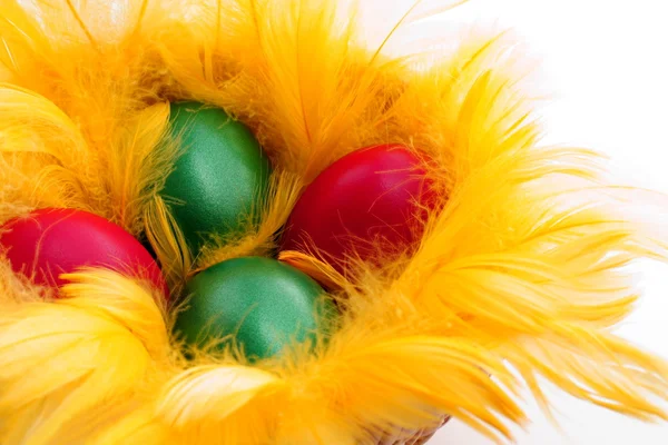 Telur Paskah di sarang kuning — Stok Foto
