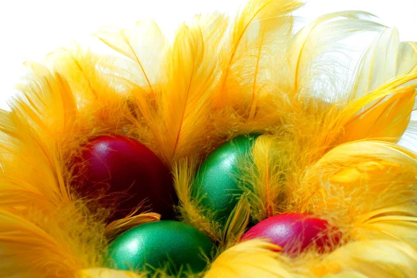 Пасхальні яйця в жовтому гнізді — стокове фото