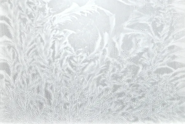 stock image Frost patterns on glass