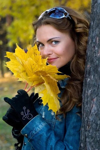 A menina bonita com folhas amarelas — Fotografia de Stock