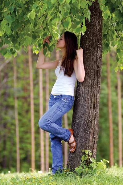 Lány: egy fa — Stock Fotó