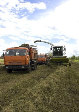 Agrarian fieldworks clipart