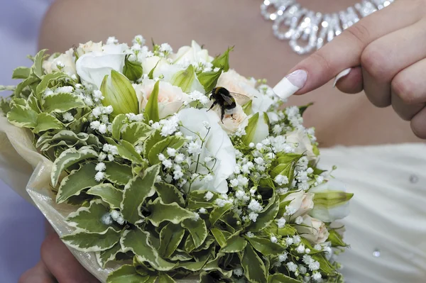 Bumble-abelha no buquê de noiva — Fotografia de Stock