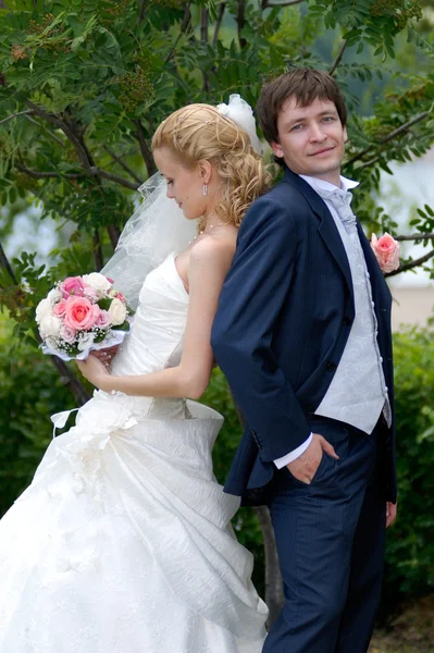 Recém-casado — Fotografia de Stock