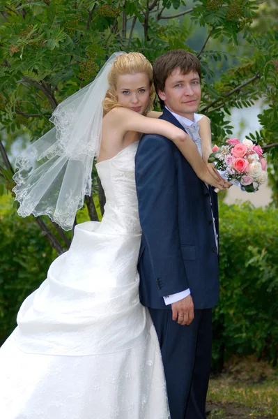 Recién casados — Foto de Stock