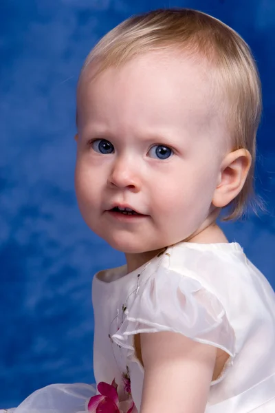 Precious girl on blue — Stock Photo, Image