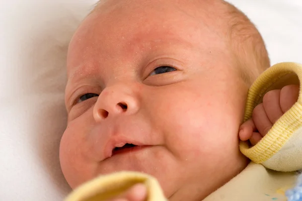 Sarı bebek — Stok fotoğraf