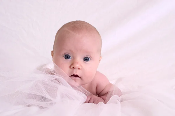 Bebê precioso — Fotografia de Stock