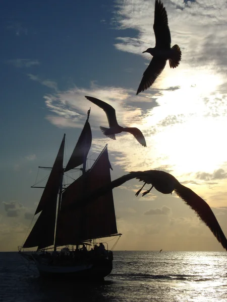 stock image Sailboat at sunset