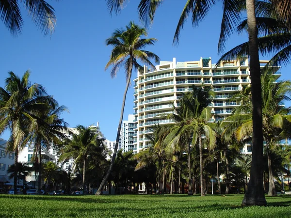 Byggnaden omges av palmer Stockbild