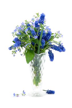 Bouquet of spring flowers clipart