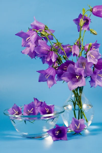 Bouquet of hand bell flowers — Stock Photo, Image