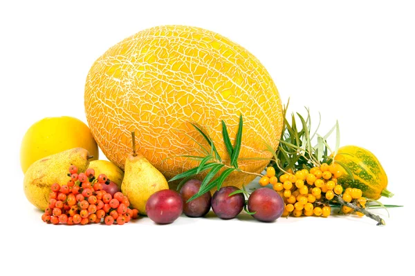 Frutta fresca autunnale — Foto Stock