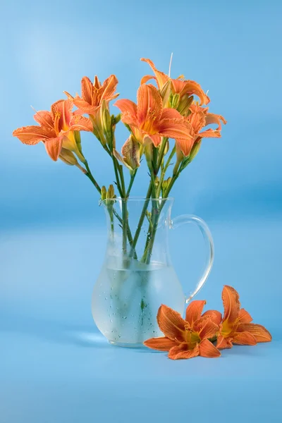 Strauß von Taglilie-Blumen — Stockfoto
