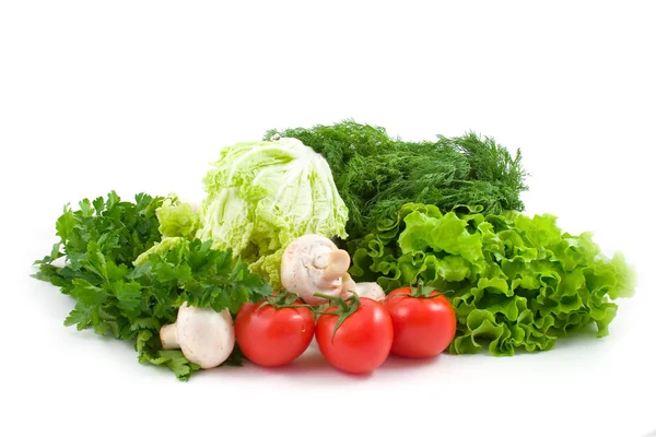 Friss zöldségek — Stock Fotó