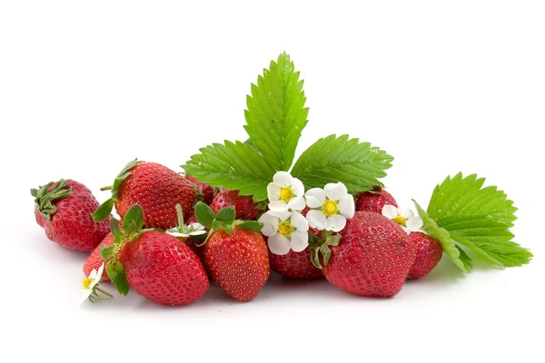 stock image Fresh and juicy strawberries