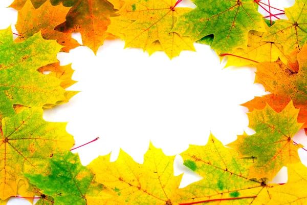 Fall frame with maple leaves — Stock Photo, Image