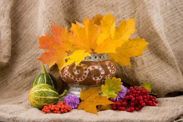 Autumn still life — Stock Photo, Image