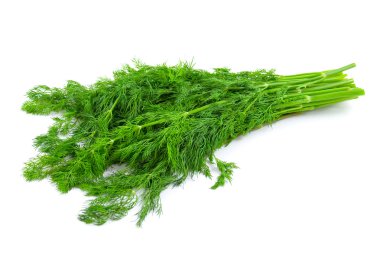 Fresh fennel clipart