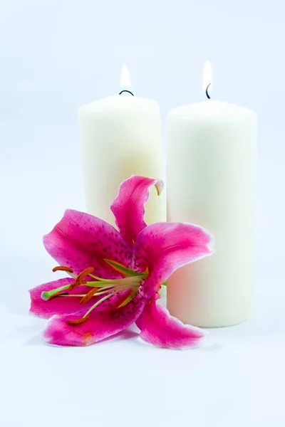 Lily and candles — Stock Photo, Image