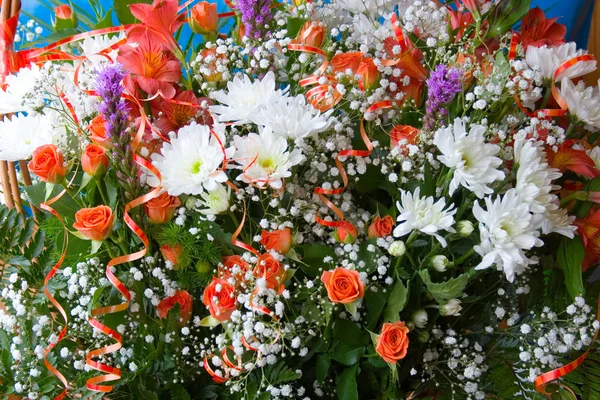 Fundo de várias flores — Fotografia de Stock