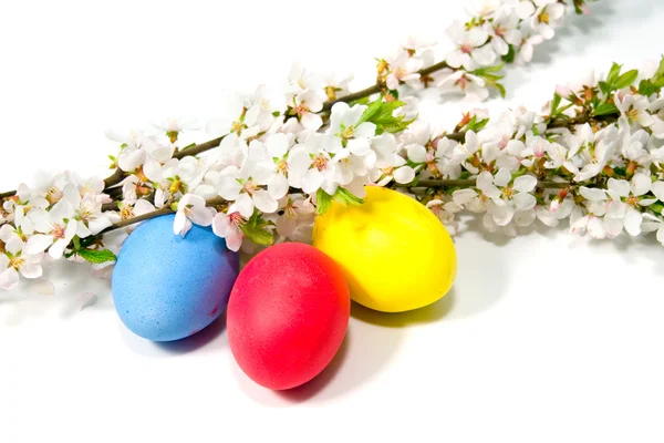 Œufs de Pâques colorés — Photo