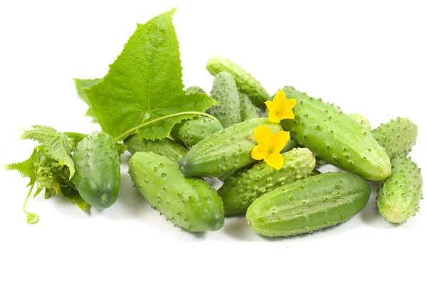 Cucumbers isolated — Stock Photo, Image