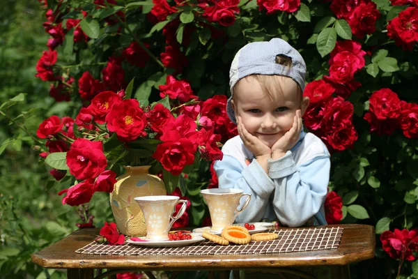 Summer tea in a garden — Stock Photo, Image