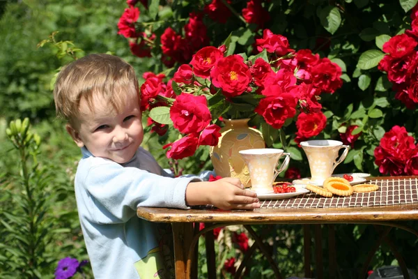 Summer tea in a garden — Stock Photo, Image