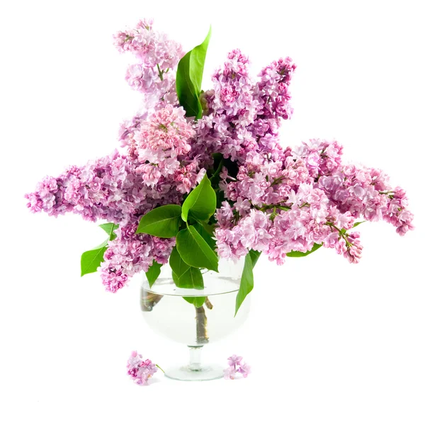 Buquê de lilás em um vaso transparente — Fotografia de Stock