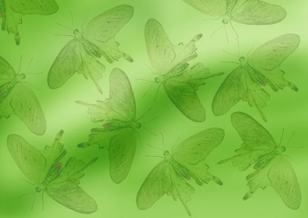 Grüner Hintergrund mit schwarzen Schmetterlingen — Stockfoto