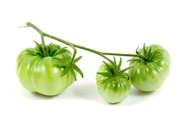 stock image Green tomatoes