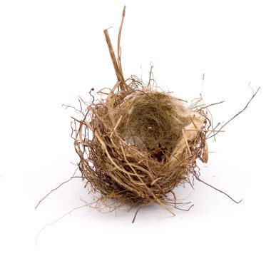 Empty bird's nest clipart