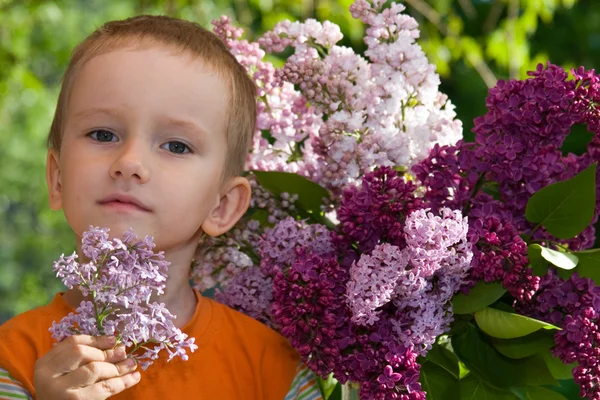 ライラックの花束を持つ少年 — ストック写真