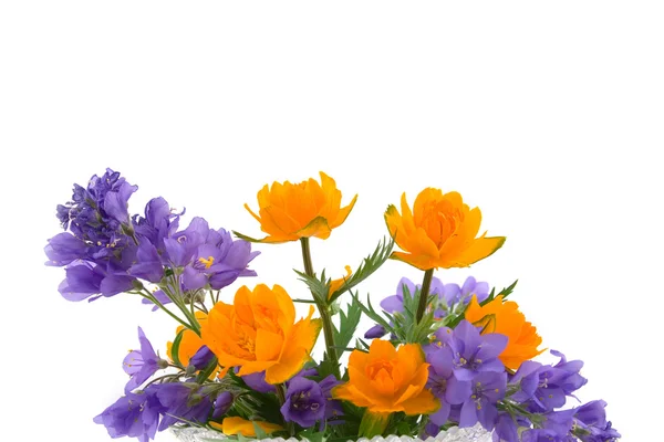 Bukiet wiosennych kwiatów — Zdjęcie stockowe