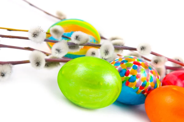 Easter eggs and willow — Stock Photo, Image
