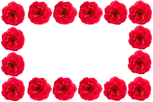 Krásný rám červených růží — Stock fotografie