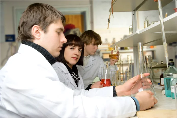 Afstuderen - chemici in het laboratorium — Stockfoto