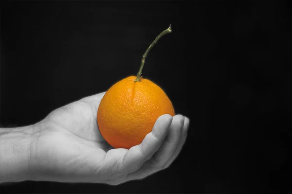 Segurando uma laranja — Fotografia de Stock