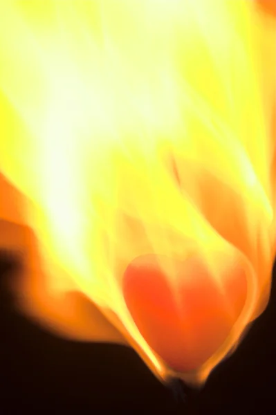 Hart branden — Stockfoto