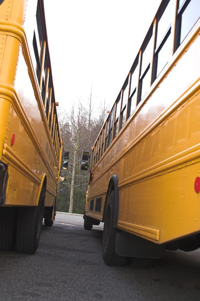 Автобуси шкільні — стокове фото