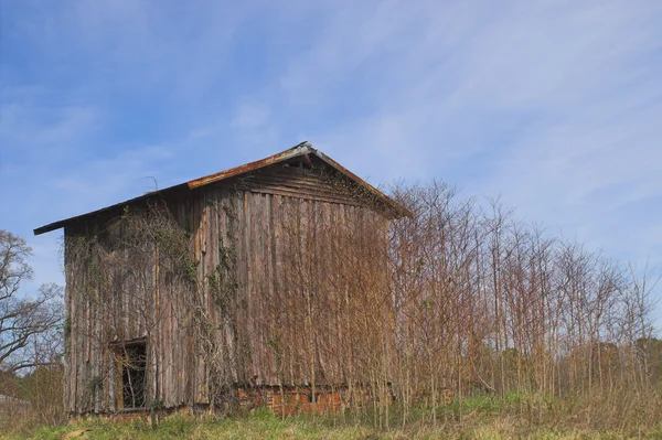 Stará stodola tabáku — Stock fotografie