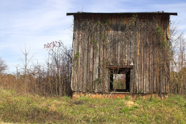 Starej stodoły tytoniu — Zdjęcie stockowe