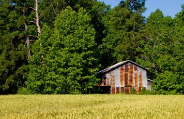 Tobacco Barn clipart