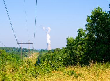 Nükleer enerji santrali