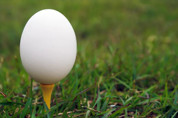 Uovo su una maglietta da golf — Foto Stock