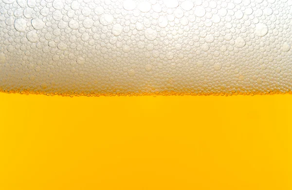 Bière — Photo